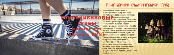 СК Кинешма