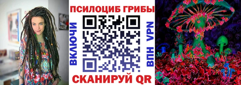 Псилоцибиновые грибы мицелий  Купить закладки  Великий Новгород 